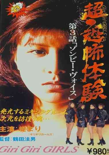 SuperHorror Experience 3 Zombie Voices Poster