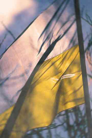 Despair and Defiance: The Battle for Ukraine Poster