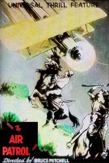 The Air Patrol Poster