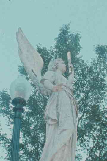 How old do you want to be when you die? Poster