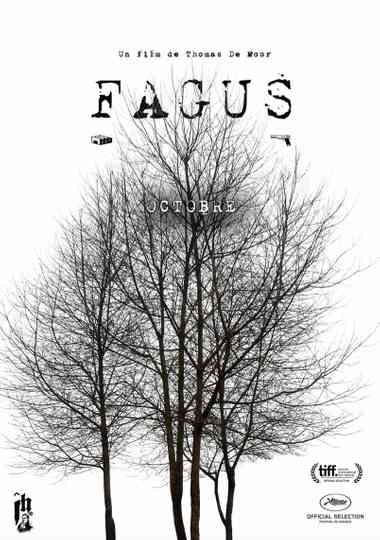 Fagus Poster