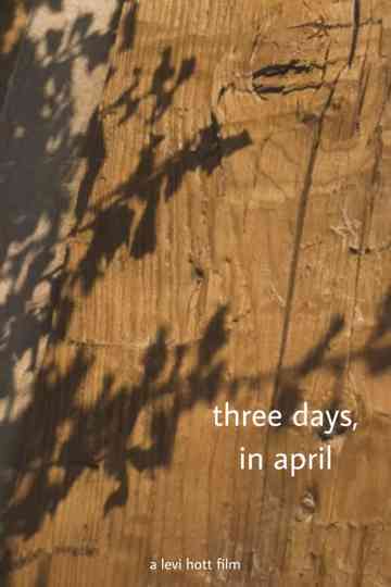 three days in april Poster