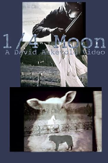 14 Moon