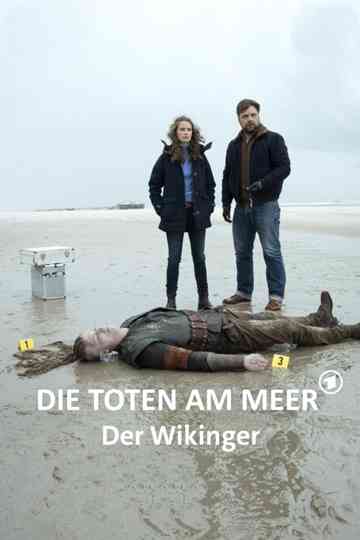 Die Toten am Meer  Der Wikinger poster