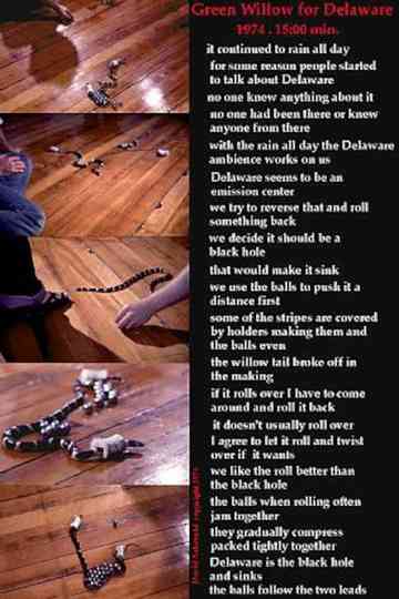 Green Willow for Delaware Poster