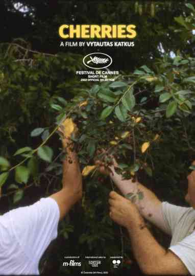 Cherries Poster