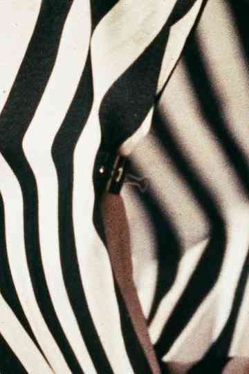 La mia Camera Poster