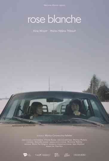 Rose blanche Poster