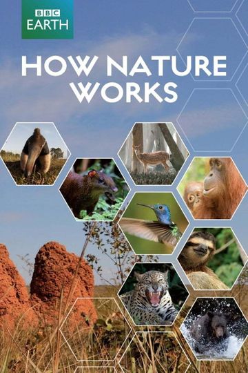How Nature Works