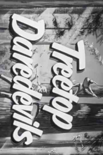 Treetop Daredevils Poster