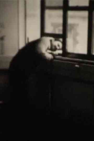 The Last Films of Humphrey Esterhase Poster