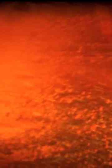 Everybodys Favourite Disease Poster