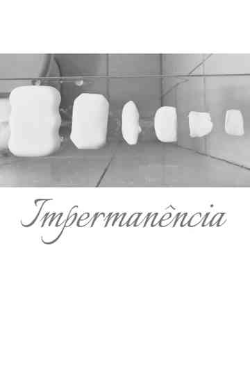 Impermanence Poster