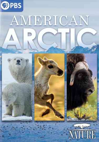 Nature American Arctic Poster