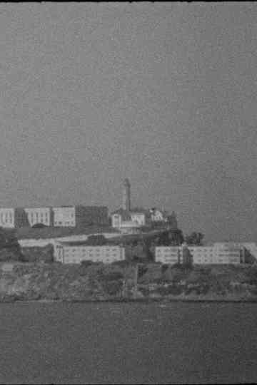 The Return of the Buffalo Poster