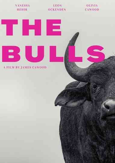 The Bulls Poster