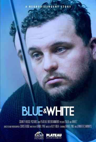 Blue & White Poster