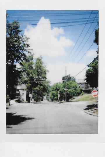 Pine and Genesee Poster