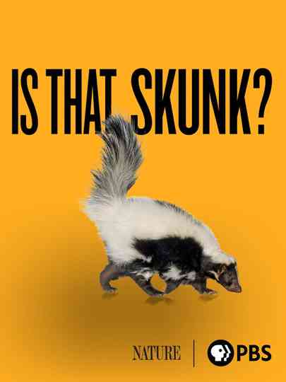 Is That Skunk Poster