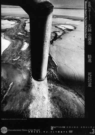 Minamata Report 1  The Central Pollution Board Poster
