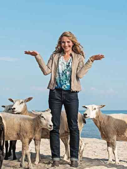 Reiff für die Insel Filmreihe Poster