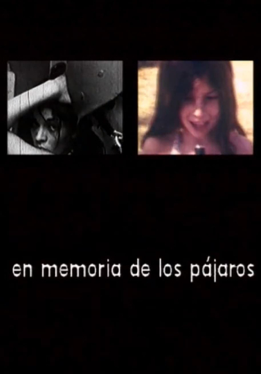 En memoria de los pájaros Poster