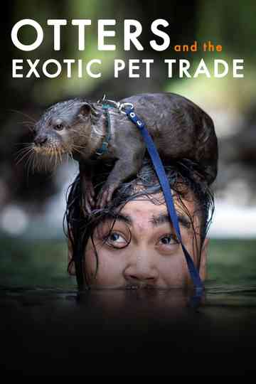 Otters and the Exotic Pet Trade Poster