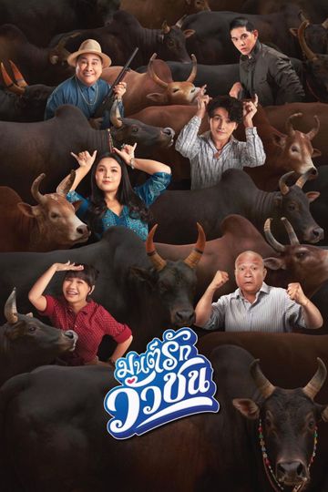 Love Battle vs Bullfighting