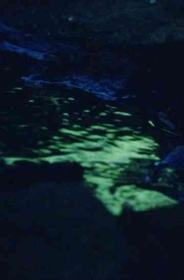 La Source De La Loire Poster