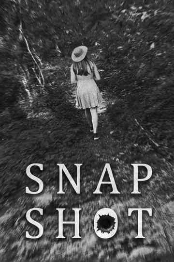 Snap Shot Poster
