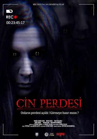Cin Perdesi Poster
