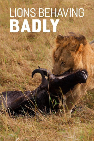 Lions Behaving Badly Poster