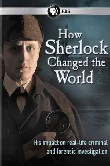 How Sherlock Changed the World Poster