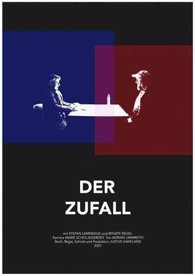 The Coincidence Poster