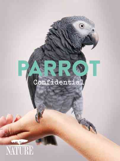 Parrot Confidential Poster