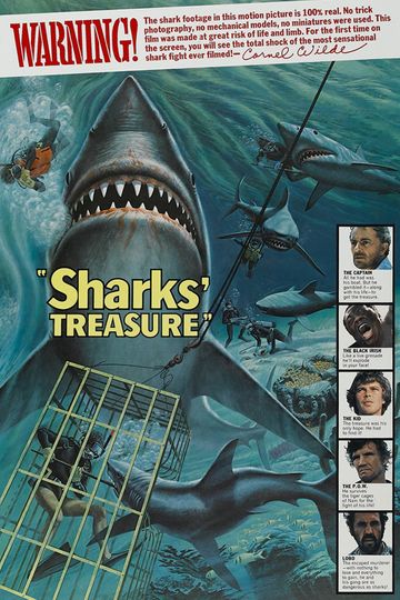 Sharks Treasure