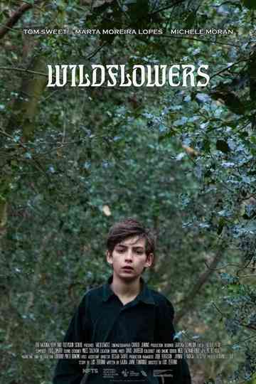 Wildflowers Poster