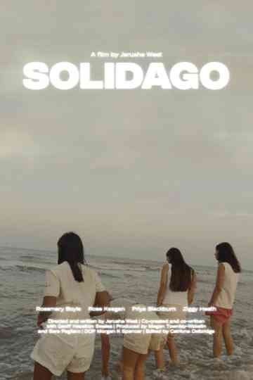 Solidago Poster