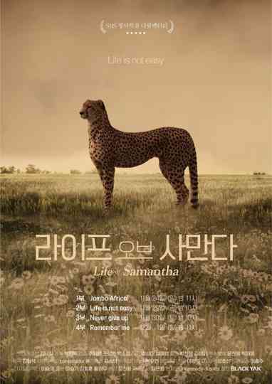 Life of Samantha Poster