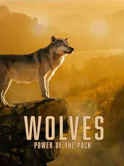Wolves: Power of the Pack Poster