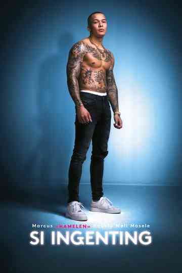 Si ingenting Poster