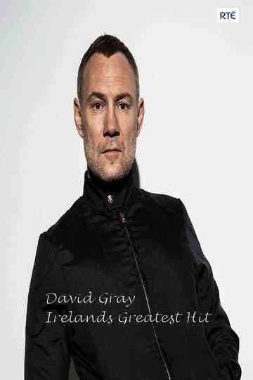 David Gray: Ireland's Greatest Hit Poster