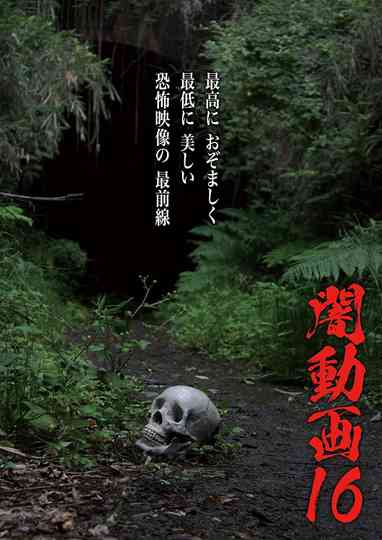Tokyo Videos of Horror 16 poster