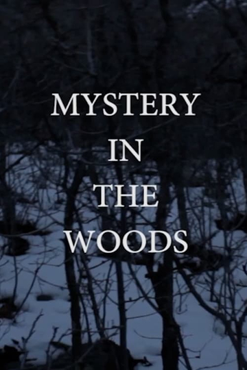 Mystery in the Woods Poster