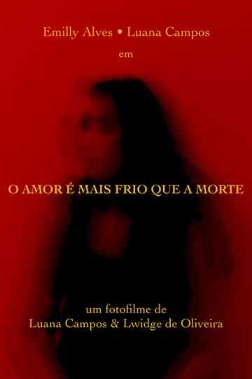O Amor é mais Frio que a Morte Poster