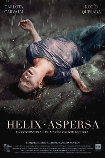 Helix Aspersa Poster