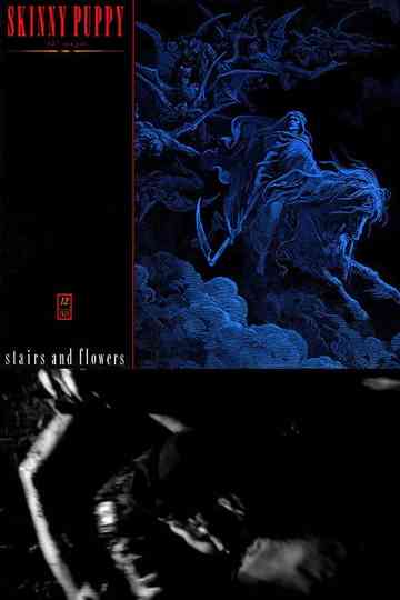 Stairs And Flowers Poster