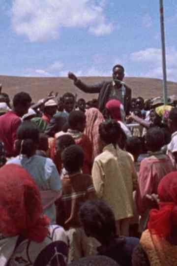 Harambee: Pull Together