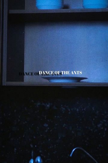 Dance of the Ants
