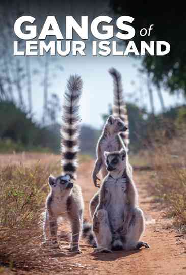 Gangs of Lemur Island Poster